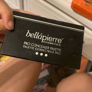 Color correcting palette